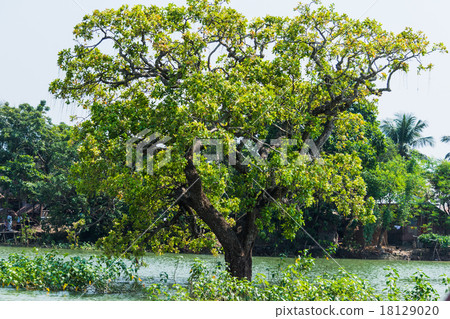 Flood Flood 18129020
