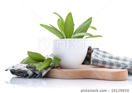 Branch of fresh sage or salvia in bowl . 18129939