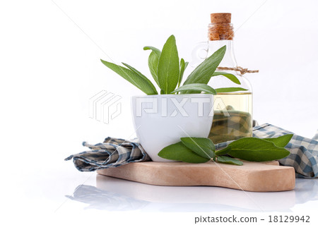 Branch of fresh sage or salvia in bowl . Branch of fresh sage or salvia in bowl . 18129942