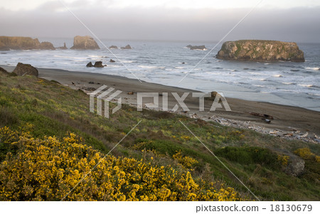 Sunset Bandon Oregon 18130679
