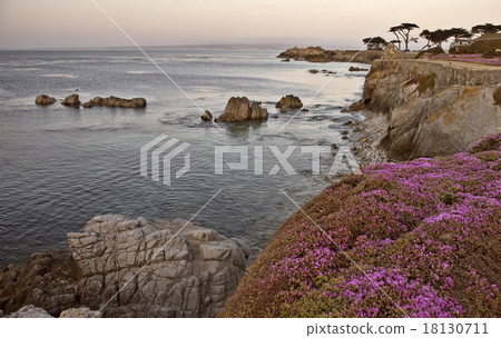 Monterey Coast California 18130711
