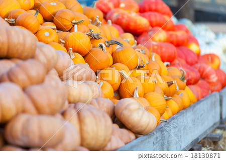 variety of pumpkins 18130871