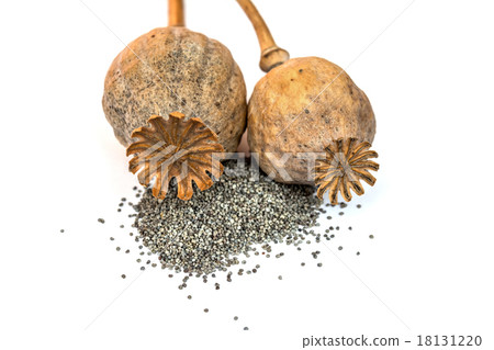 Two poppy heads and seeds isolated 18131220