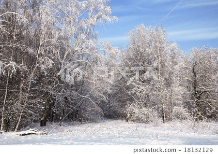 landscape in snow against blue sky. Winter scene. 18132129