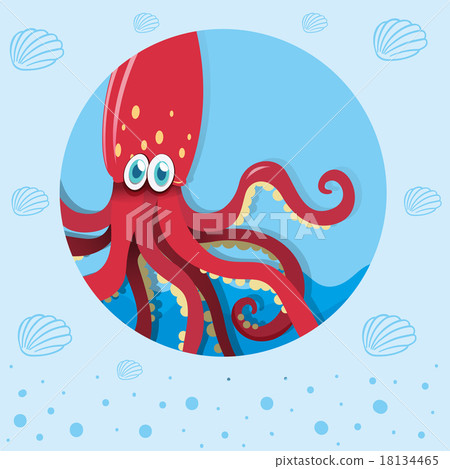 Red squid underwater Red squid underwater 18134465