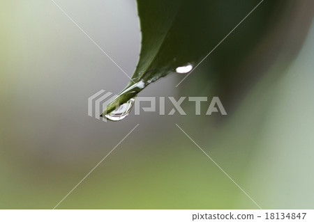 Water droplets 18134847