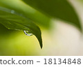 Water droplets 18134848