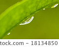 Water droplets 18134850