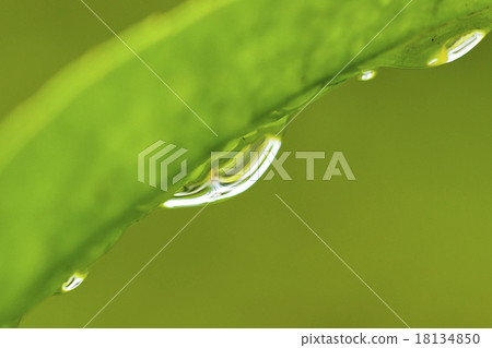 Water droplets 18134850