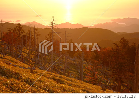 小田原之朝(奈良縣吉野縣上北山村) 小田原之朝(奈良縣吉野縣上北山村) 18135128