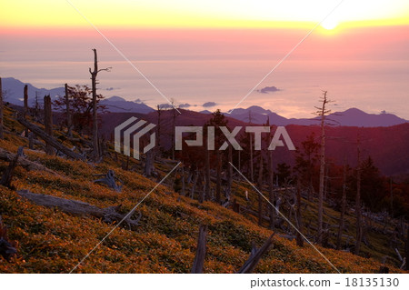 Asahi of Odaigahara (Kamikitayama Village, Yoshino County, Nara Prefecture) 18135130