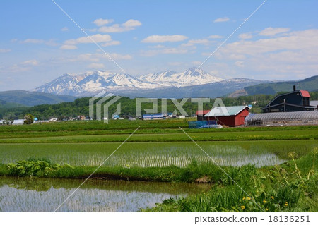 大雪山和鄉村 大雪山和鄉村 18136251