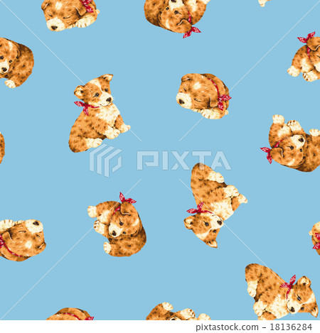 Cute corgi Cute corgi 18136284