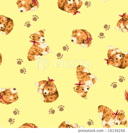 Cute corgi Cute corgi 18136288
