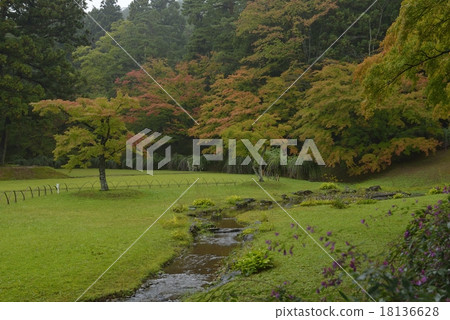 Hagi and autumn leaves of Hikoshiji garden 18136628