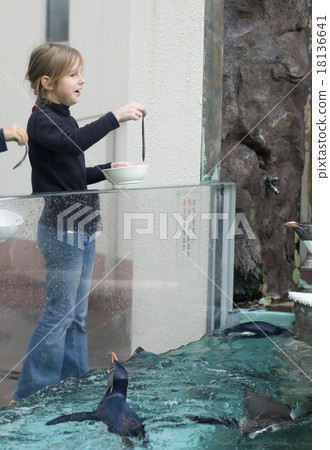 aquarium, fish tank, penguins,  zoo, little girl 18136641