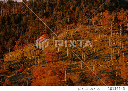 正樹通行證的晨光（奈良縣吉野郡神北山村） 18136643