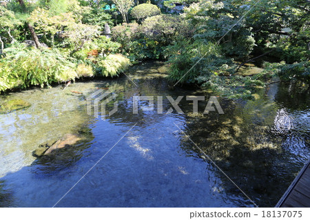 Shimabara spring springs photos 18137075