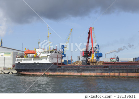 Timber unloading in Wismar 18139631