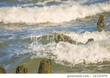 Baltic Sea with groyens and surf 18142979