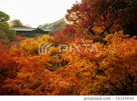 東福寺紅葉京都觀光紅葉景觀 18143030