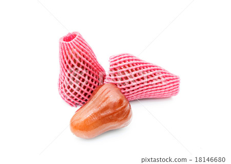 rose apple on white background rose apple on white background 18146680