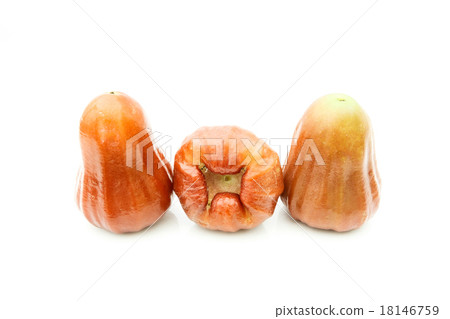 rose apple on white background rose apple on white background 18146759