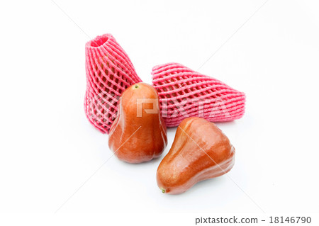 rose apple on white background rose apple on white background 18146790