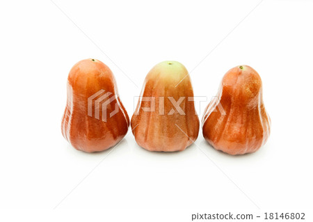 rose apple on white background rose apple on white background 18146802