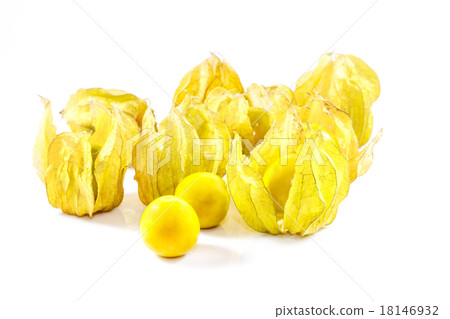 Cape gooseberry on white background Cape gooseberry on white background 18146932