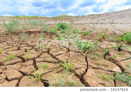 surface crack of soil in arid area surface crack of soil in arid area 18147824
