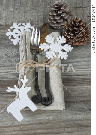 Christmas dinner 18148414