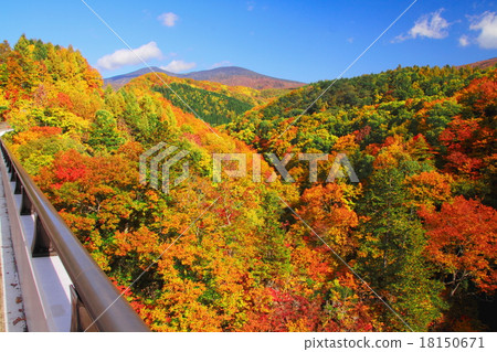 Autumn leaves of Azuma Bandai Lake line 18150671