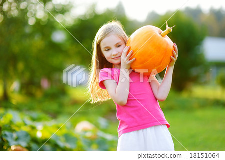 Cute little girl holding a pumpkin 18151064