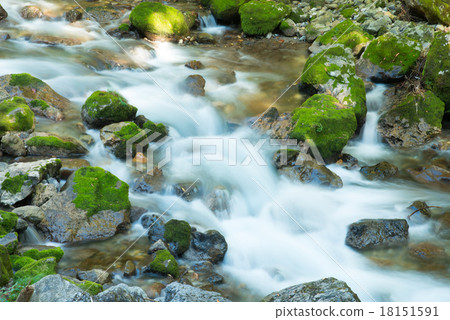 Kahara River (Japan's best underwater water) 18151591