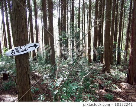 宇都宮和Kogaishiyama的跡象 18152241