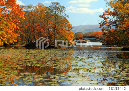 函館Onumakoen 18153442