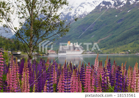 mountain landscape 18153561