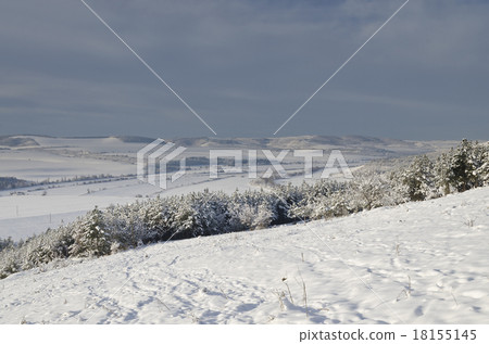 Winter tale in the fields of northern Bulgaria Winter tale in the fields of northern Bulgaria 18155145