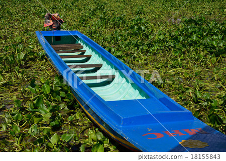 柬埔寨暹粒Trensap湖 18155843