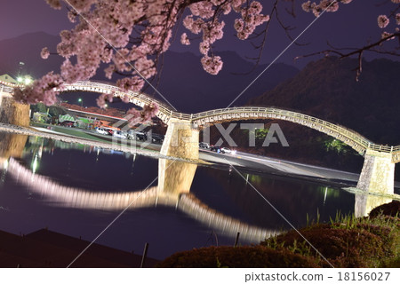 櫻花和橋樑在晚上 18156027