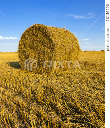 straw stack   18156906