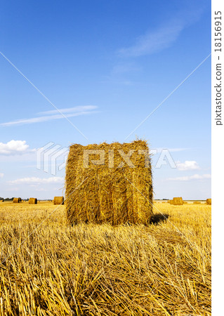 straw stack   18156915