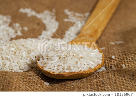 rice grains   18156967