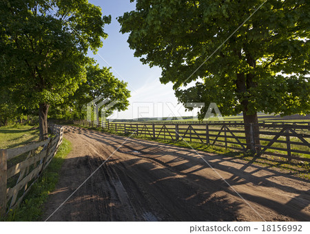 the road on a farm the road on a farm 18156992