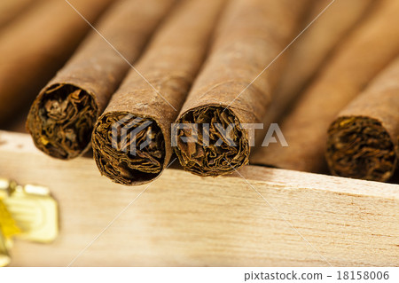 cigars cigars 18158006