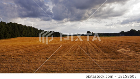 agriculture agriculture 18158605