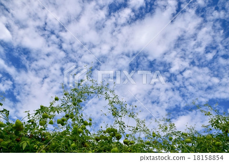 雲彩和雲彩在秋天天空 18158854