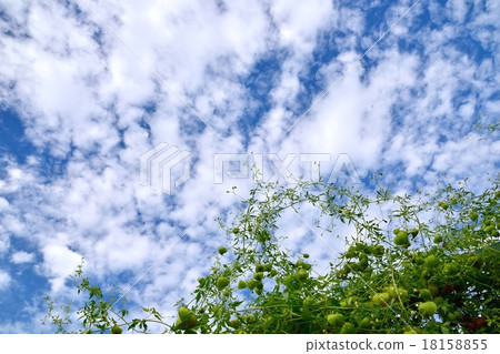 雲彩和雲彩在秋天天空 18158855