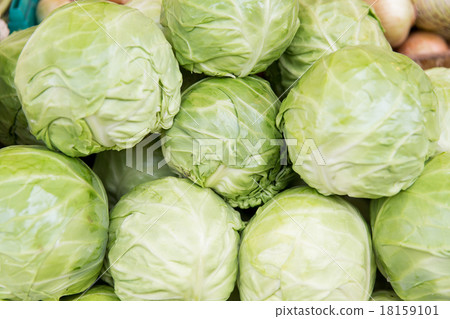 close up of cabbage at street market close up of cabbage at street market 18159101